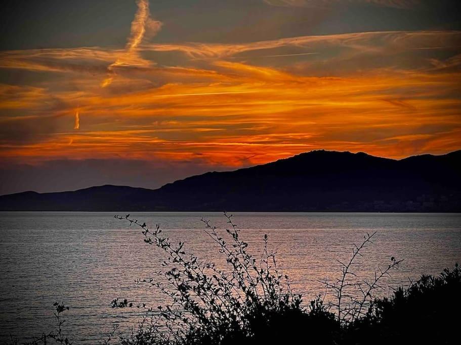 Villa Proche Ajaccio Et Mer Exclusive 2 A 10 Voyageurs Bastelicaccia المظهر الخارجي الصورة