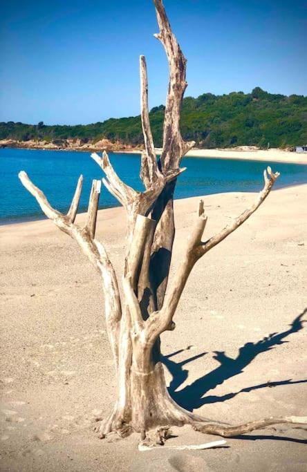 Villa Proche Ajaccio Et Mer Exclusive 2 A 10 Voyageurs Bastelicaccia المظهر الخارجي الصورة